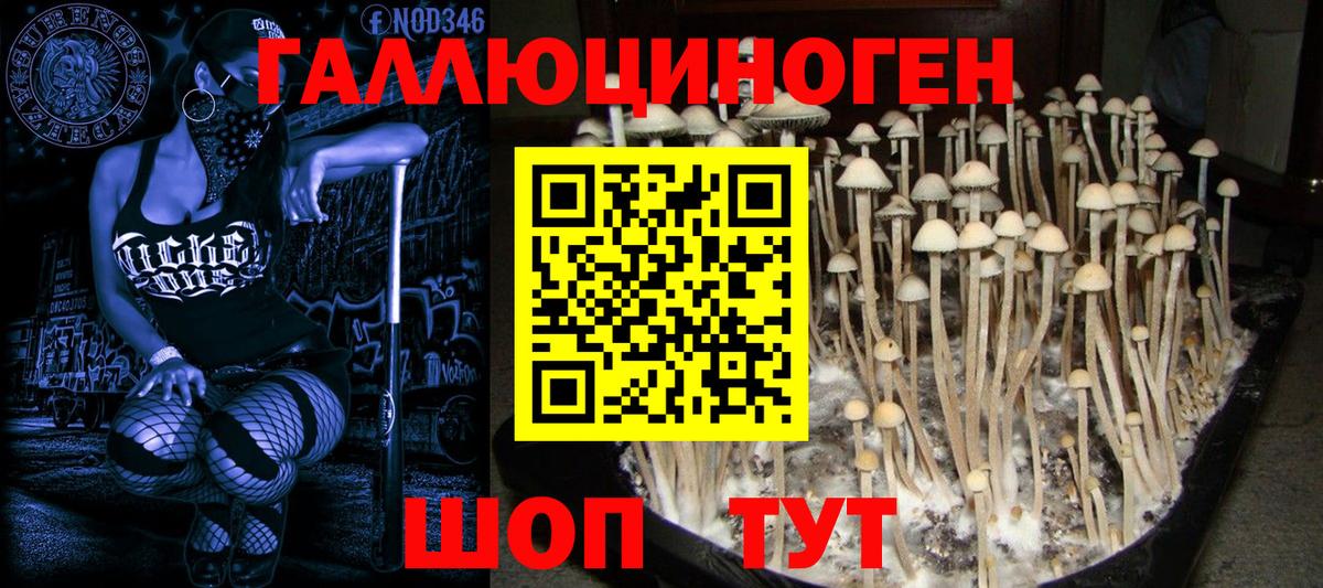 Псилоцибиновые грибы MAGIC MUSHROOMS  Псилоцибиновые грибы Cubensis  Вход с VPN  Белорецк 